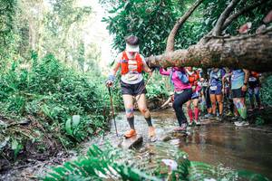 BIB: 
                            <button type="button" onclick="openModal(25514273)" class="btn btn-primary btn-sm float-right btn-popup" data-toggle="modal" data-target=".modal-high-quality">
                        <i class="fas fa-shopping-cart"></i> Add to Cart
                    </button>
                                            <button type="button" onclick="isThisMe(25514273, true)" class="btn btn-success btn-sm float-right btn-popup btn-isme hidden" data-toggle="tooltip" data-placement="bottom" title="นี่คือรูปของคุณใช่ไหม คลิกที่นี่เพื่อเอาเข้าอัลบั้ม">
                        <i class="fas fa-plus"></i> Add to album
                    </button>
                    <button type="button" onclick="isThisMe(25514273, false)" class="btn btn-warning btn-sm float-right btn-popup btn-isnotme hidden">
                        <i class="fas fa-ban"></i> Remove from album
                    </button>